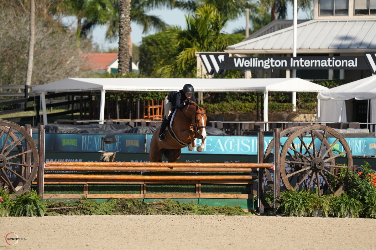 APG Livory jumping in competition at Wellington International