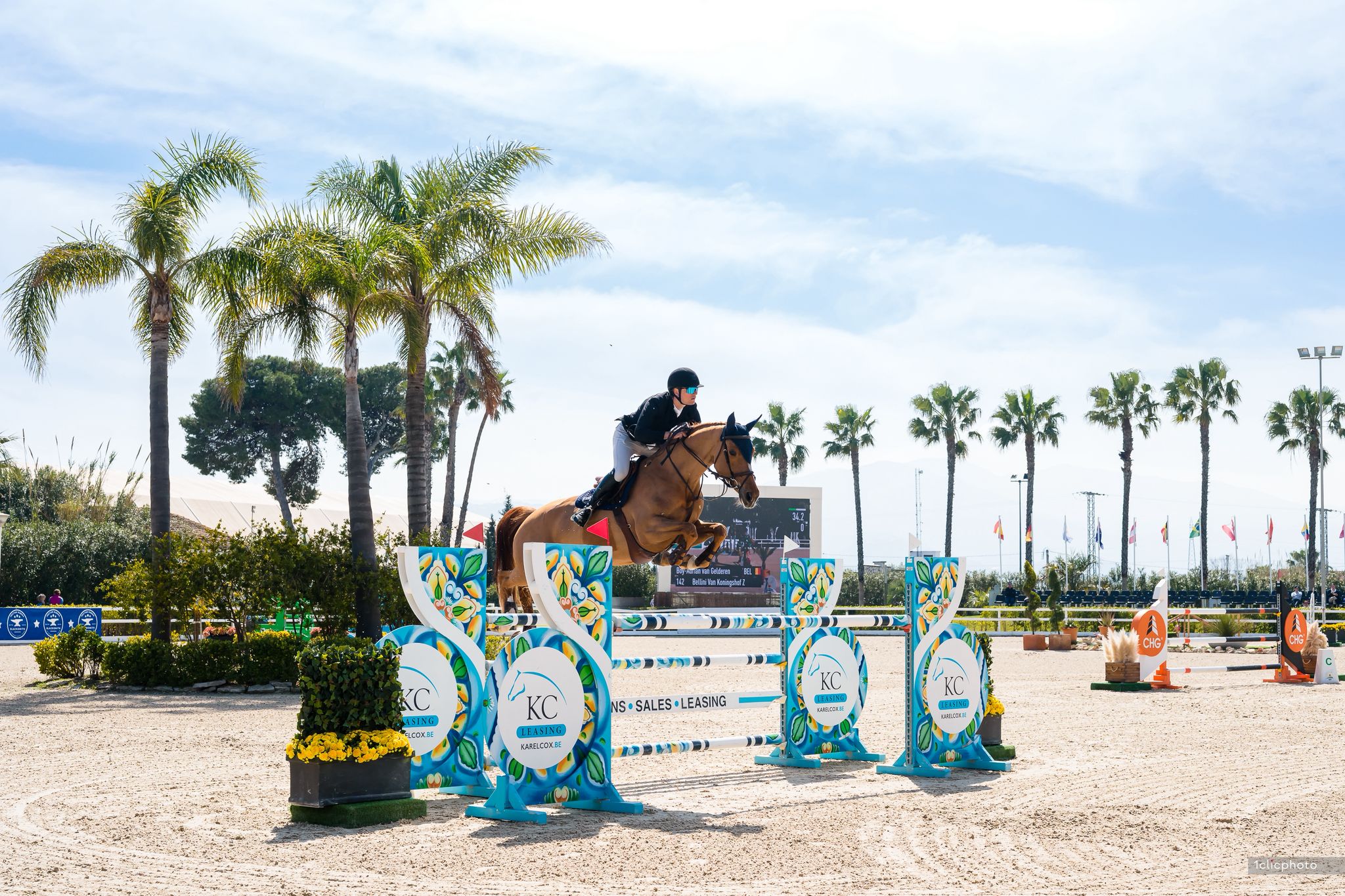 Bellini van ’t Koningshof jumping in competition