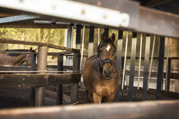 2080APG-beelduitsnede